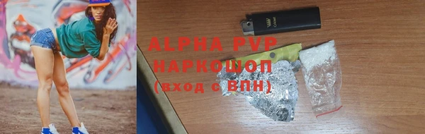 гашик Алексеевка