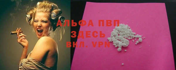 гашик Алексеевка